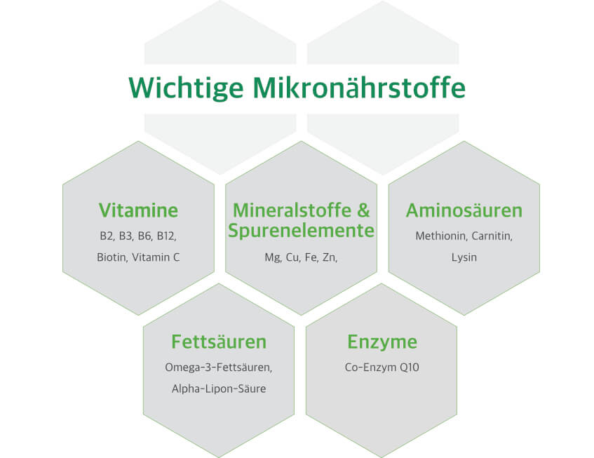 Wichtige Mikronährstoffe für Mitochondrien